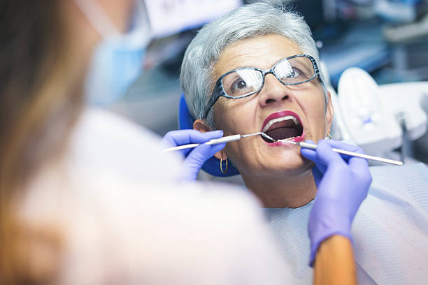 Grosse Pointe Farms, MI Holistic Dental Care Services Company